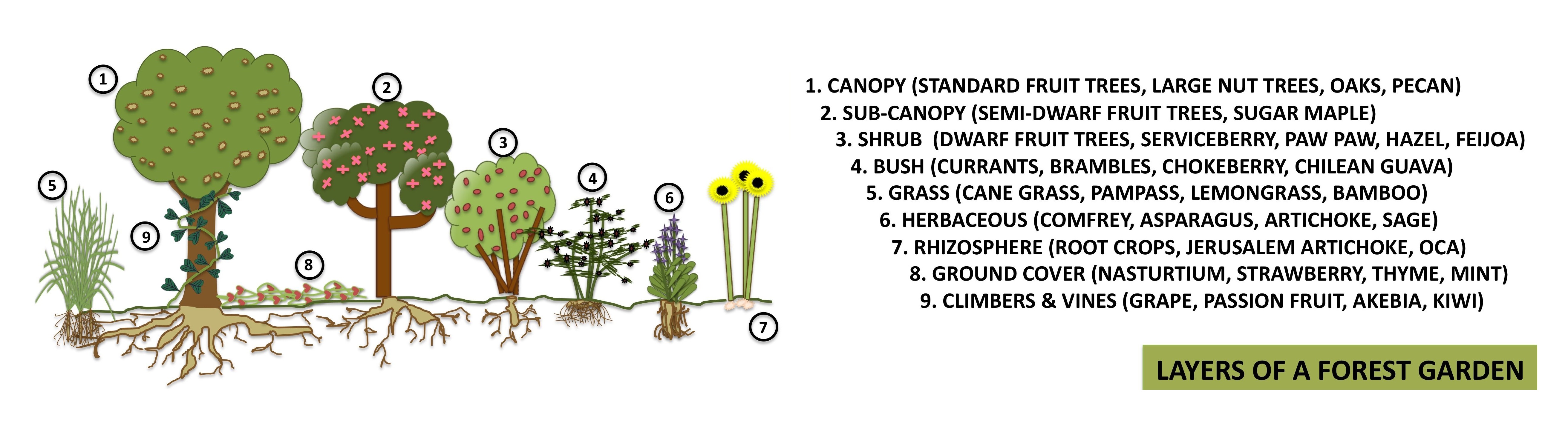 software applications